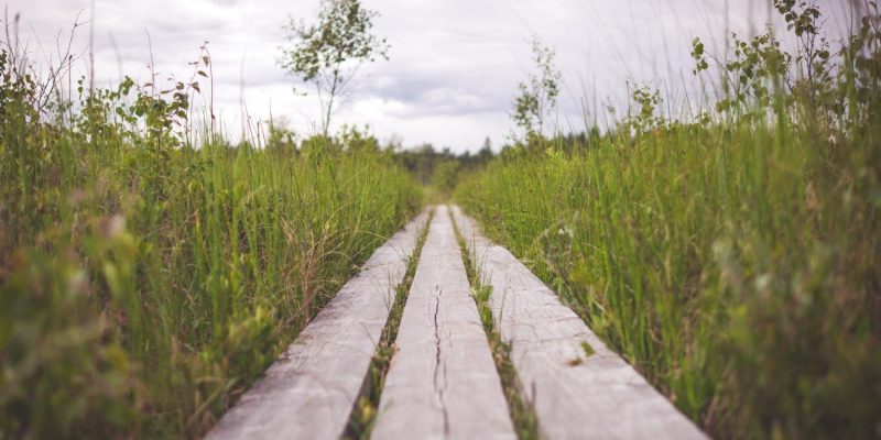 Grassy Path